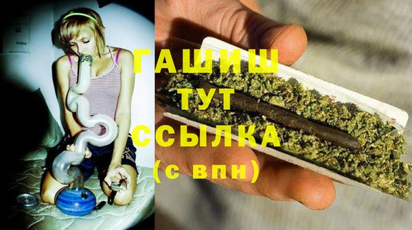меф Арсеньев
