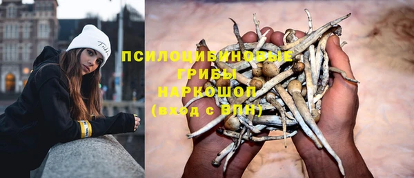 тгк Протвино